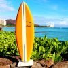 Center Stripe on a Little Surfboard in Waikiki by Diamond Head (cropped)